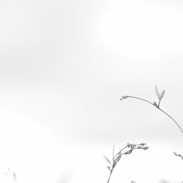 Let's take a short break