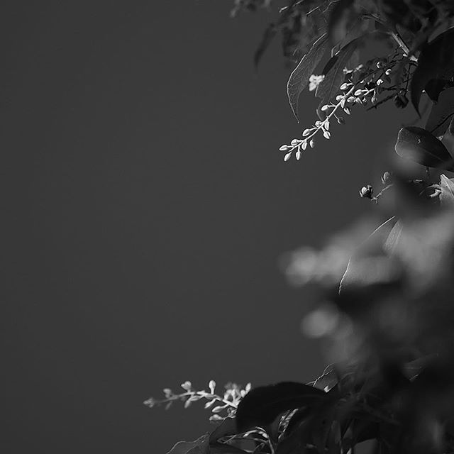 The blank will be satisfied