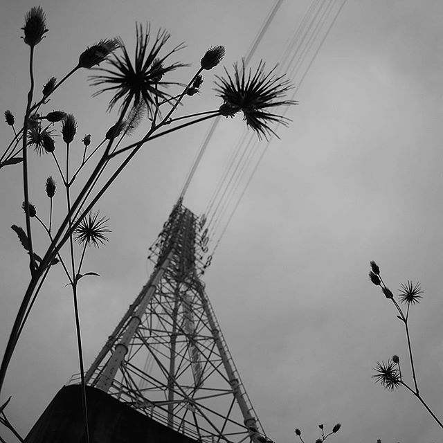 transmit electricity