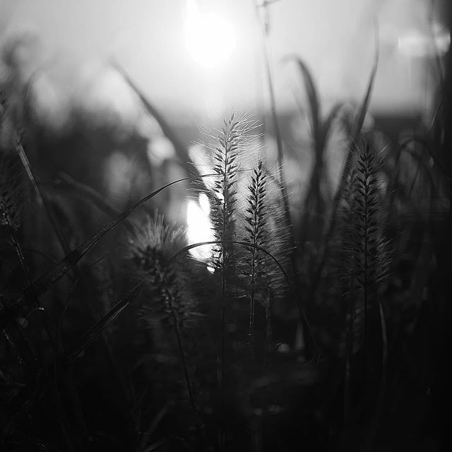 Gioia ti porto Vieni con me